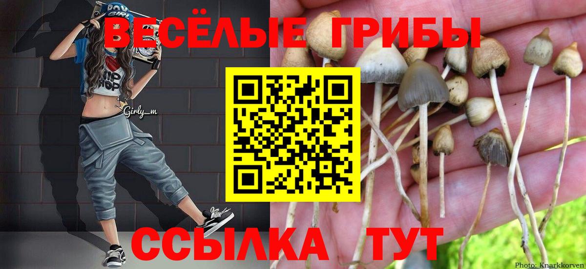 Псилоцибиновые грибы MAGIC MUSHROOMS Ейск