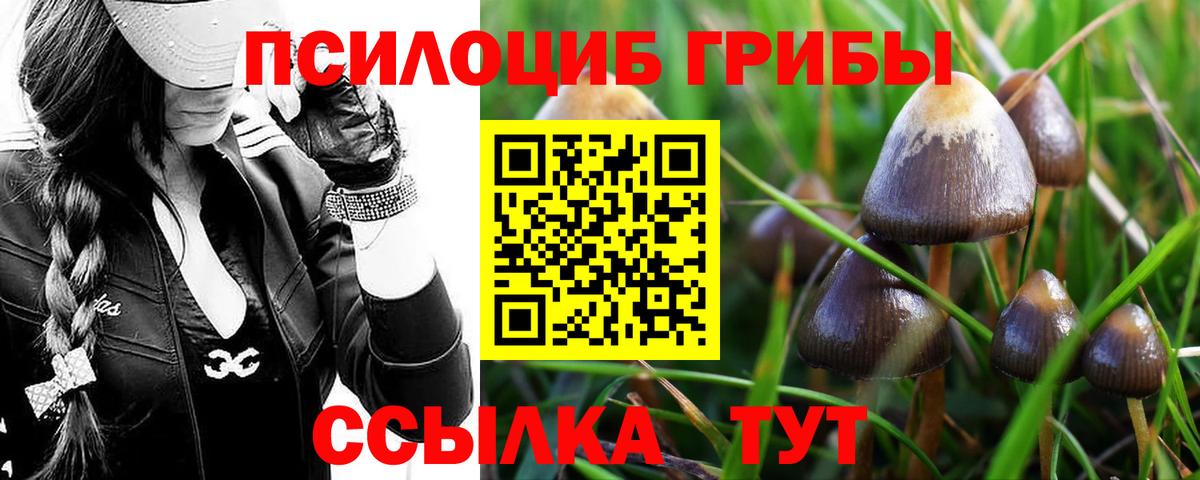 Ейск  Галлюциногенные грибы мухоморы  Вход с VPN 